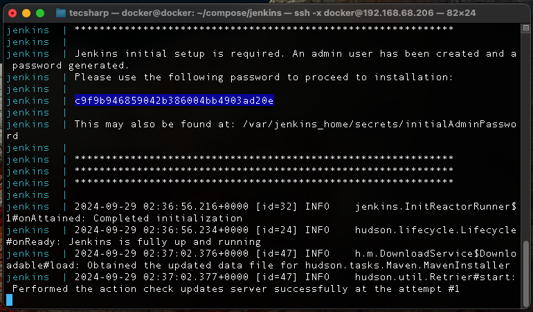 Jenkins password contrasena docker